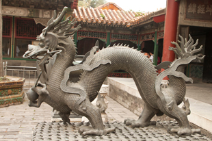 Happy Year of the Dragon!