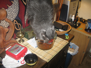 Puer Tea, Puerh Tea, Pu-erh Tea, PURR TEA?