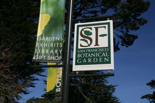 Pure Puer Tea and Tru Gourmet Organic Dim Sum at San Francisco Botanical Garden fundraising event.