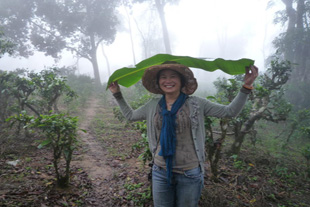 Yang Su's 2011 Xishaungbanna trip